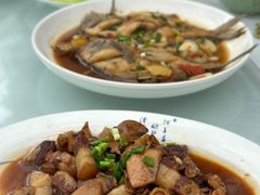 -龙坞茶村