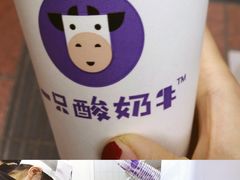 -一只酸奶牛(八一路店)