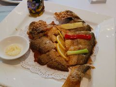 -骏莱海鲜鱼港(五角场店)
