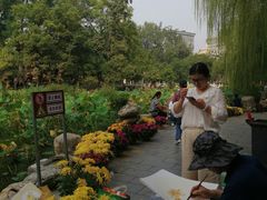 -莲湖公园