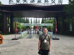 -黄海国家森林公园