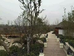 -郑州银基黄帝宫御温泉