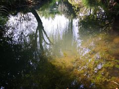 -乌镇望津里精品酒店