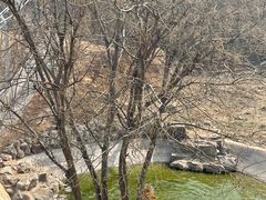 -石家庄市动物园