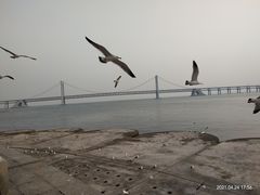 -星海广场