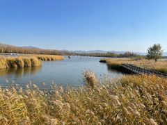 -野鸭湖国家湿地公园