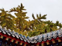 -长安寺