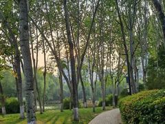 -城市运动公园(未央区)