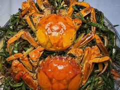 -靓靓蒸虾·头牌蒸虾(南山桂庙店)