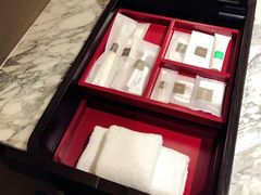 -新加坡瑞士史丹福酒店