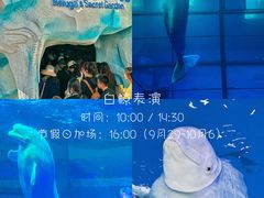 -秦皇岛乐岛海洋王国