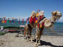 -青海湖国家重点风景名胜区