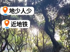 -黄埔荔枝公园