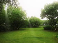 -九里河湿地公园