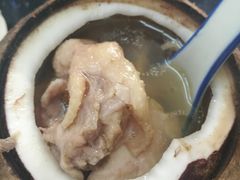 原子椰子炖走地鸡-達揚原味燉品(文明路店)