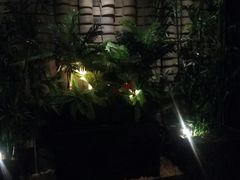 -东方之珠洗浴休闲广场(南开店)