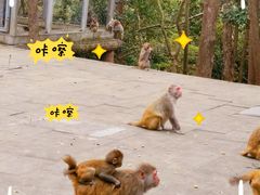 -千岛湖东南湖区