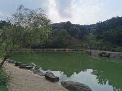 -广州市帽峰山景区