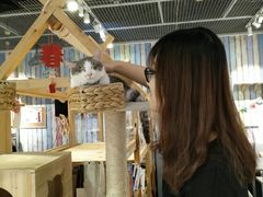 -小时光咖啡馆(开森度假森林店)