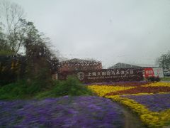 -太阳岛度假酒店