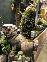 -周忆刺青原创设计定制