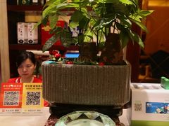-小八仙·宴(三峡茶庄店)