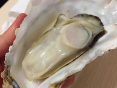 -众彩物流水产市场