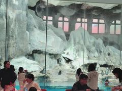 -帝企鹅自助餐厅•儿童岛•真企鹅(长隆企鹅酒店)