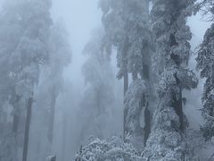 -瓦屋山景区