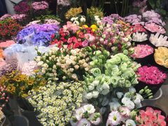 -双季花艺园艺市场(浦东店)