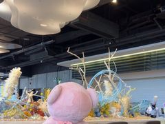 -Mr.Fish鱼鲜生海鲜放题(高德置地冬广场店)