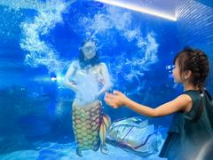 -成都浩海立方海洋公园