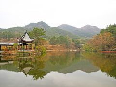 -黄陂区野村谷景区