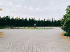 景点-上海海湾国家森林公园