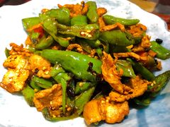 余干辣椒炒土猪肉-赣南人家·头牌江西菜(劲松店)