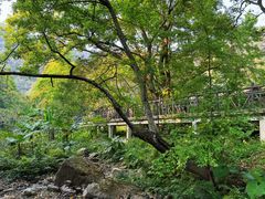 -广州市石门国家森林公园