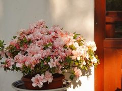 -汇龙潭