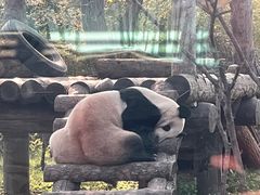 -济南野生动物世界