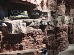 -辽宁古生物博物馆