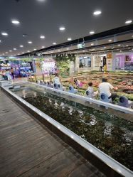 -钓虾工场·钓虾·赶海(回龙观店)