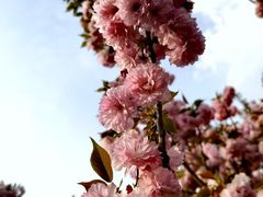 -朝阳公园