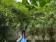 -深圳国际园林花卉博览园