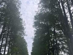 -东湖落雁景区