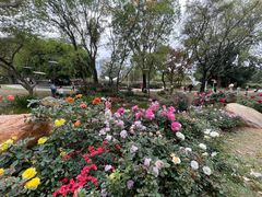 -人民公园(罗湖区)