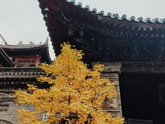 -大学习巷清真寺