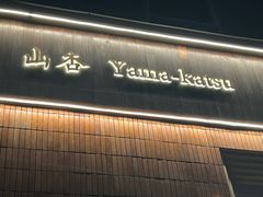 -山杏yama-katsu·吉列炸物