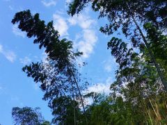 -宁波五龙潭景区