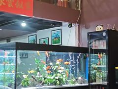 -贵州人家·酸汤火锅·20年老字号