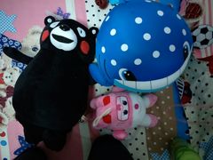 -PAWTOY爪e玩偶店(天兴罗斯福店)