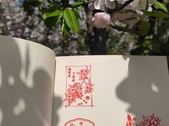 -海棠花溪(元大都城垣遗址公园)